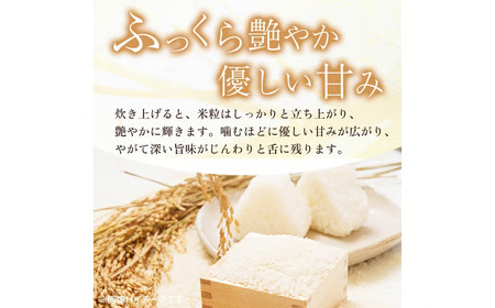 【在庫限定】令和7年産米 コシヒカリ 5kg （山崎農園）数量限定
