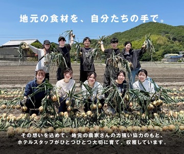 【予約販売】海月館 自社農場栽培！淡路島産 新玉ねぎ 5kg