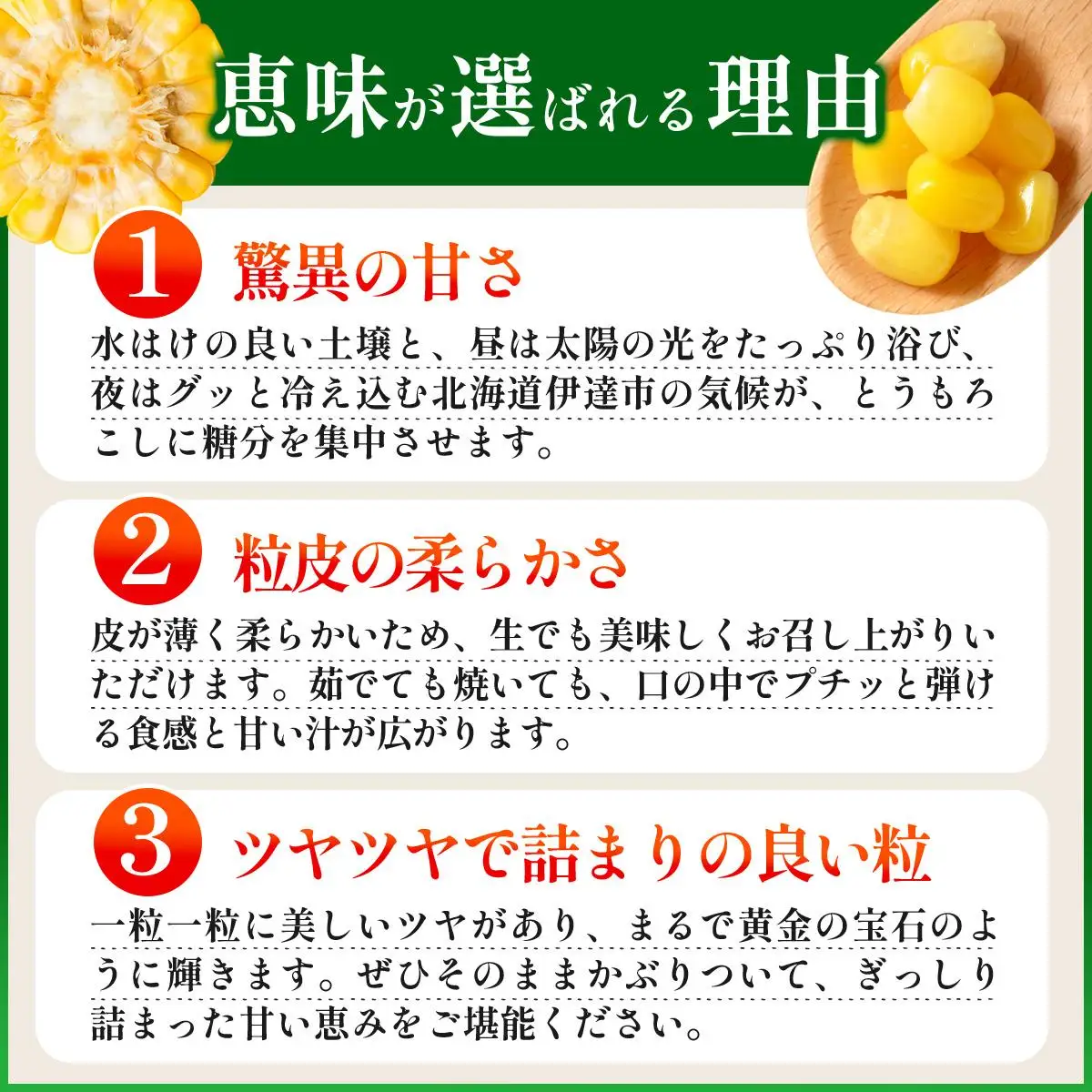 ＜2026年7月中旬～順次お届け＞ スイートコーン・恵味（2Lサイズ）【dnk-003】とうもろこし コーン スイートコーン 野菜 伊達野菜 サラダ 北海道 伊達市