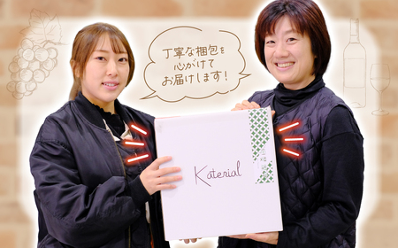 甲斐市産 おまかせワイン各月2本×6か月 計12本定期便 AD-319