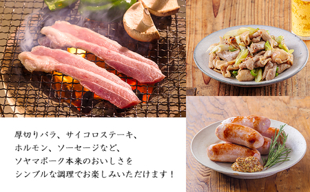 ソヤマポークの焼肉・炒め物セットTF863-P00078