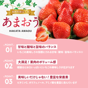 ＜先行予約受付中！2026年12月上旬以降順次発送予定＞博多 あまおう《冬》 (計1kg・250g～270g×4パック) いちご イチゴ 苺 ストロベリー 果物 フルーツ おやつ デザート 冷蔵 アマオウ 旬 小分け 【農産物直売所ほたるの里】as52-006