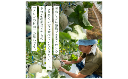 クインシーメロン（3玉入り1箱）計4.5kg