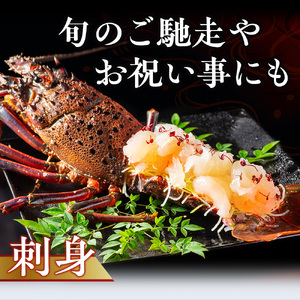 伊勢えび 約1kg 産地直送 冷凍 伊勢えび