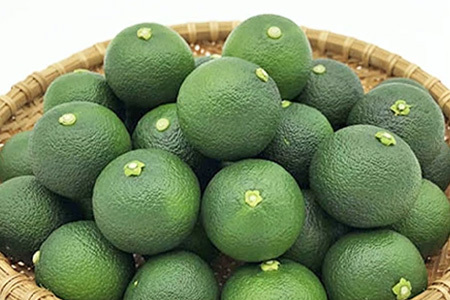 【先行受付】澄んだ空気と清らかな水で育った 露地すだち 約2kg (2Lサイズ/1kg×2箱)「2026年8月下旬より順次発送」【徳島県 那賀町 国産 特選 すだち スダチ 酢橘 柑橘 果物 青果 特産品 果汁 薬味 酸味 お酒 料理 万能 調味料 産地直送】KF-2