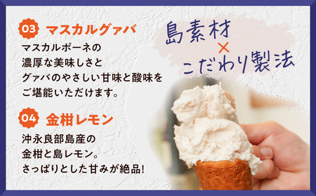 POWER GELATO（ 季節限定セット 12個入り ） C073-003-02 冷凍 菓子 お菓子 スイーツ