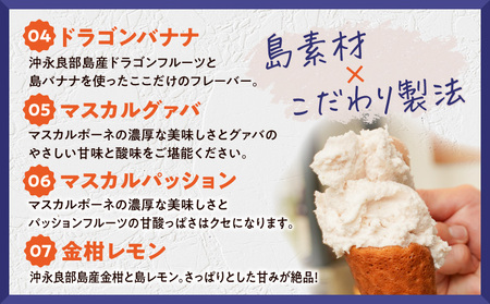 POWER GELATO（ ミックスセット 6個入り ） C073-004-01 冷凍 菓子 お菓子 スイーツ