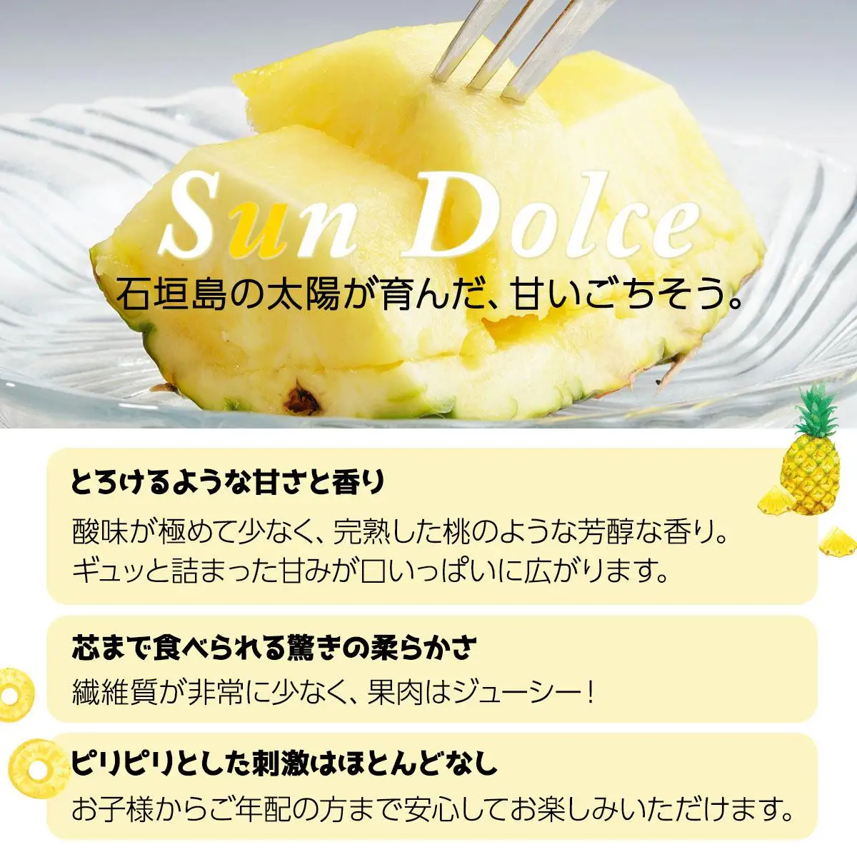 ＜先行予約＞ 石垣島産パイナップル サンドルチェ 3玉 (約3kg) 