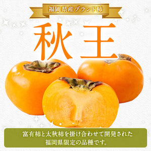 秋王 しっとり柿チップス (1袋) 柿 かき 秋王 ブランド 国産 福岡県 果物 フルーツ おやつ チップス 常温 常温保存 スナック お菓子 ドライフルーツ メール便 【農産物直売所ほたるの里】as52-018