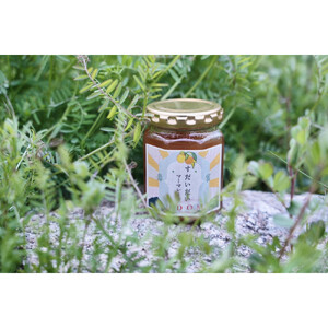 柑橘すだいだいセット3（シロップ2本＆マーマレードジャム2個）　大津島　無添加