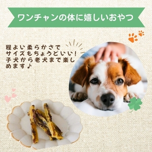 【犬のおやつ】やわらか干し芋スティック100g×5袋【delf003】