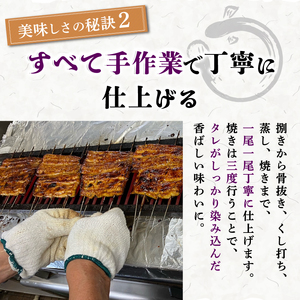 【2026年6月～順次発送】 うなぎ蒲焼 1人前 1尾 鰻