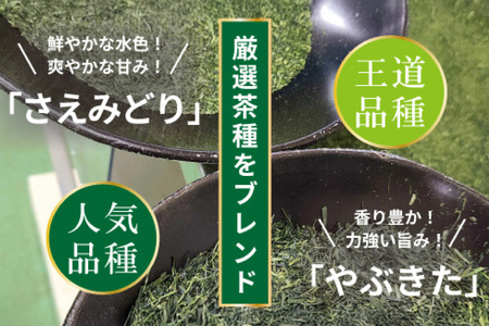 お茶 ティーバッグ 特撰 みやざき煎茶 紐付き 3袋 セット [谷岩茶舗 宮崎県 日向市 452061628] 