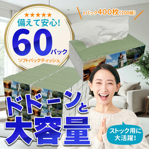 【令和8年5月～出荷】ティッシュペーパー ピュアパルプ ソフトパックティッシュ 60パック×400枚 200組 柔らか コンパクト 日用品 必需品 まとめ買い 常備品 備蓄 防災グッズ 熊本県 小国町 観光スポット紹介 オリジナル 常温配送