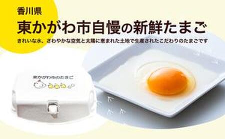 東かがわ市のたまご「鶏卵Mサイズ（10個×5P）」