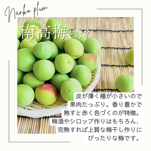 南高梅 約3kg (＋補償100g) 【秀品】完熟 2L以上 カキエモン農園【BX-kkem015】