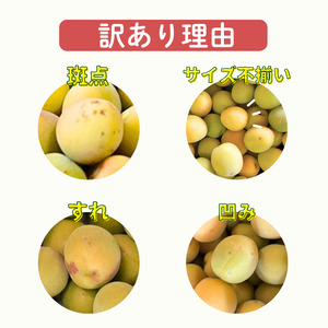  南高梅 約3kg (＋補償100g)【訳あり】完熟 サイズ不揃い カキエモン農園 【BX-kkem018】