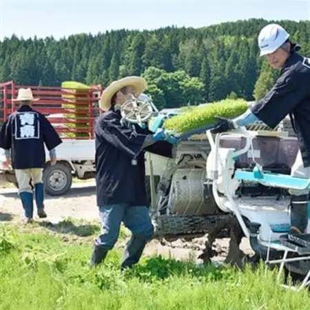 R7年産 新潟県岩船産 コシヒカリ玄米30kg　米食味鑑定士が厳選吟味した1等米 [青南総合農園]【1693748】