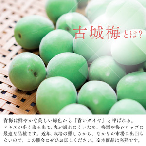 【ふるなびWEEK対象】古城梅 約5kg (＋補償100g)【秀品】 L～Mサイズ カキエモン農園【BX-kkem022-week】