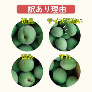 【ふるなびWEEK対象】古城梅 約3kg (＋補償100g)【訳あり】 サイズ不揃い カキエモン農園【BX-kkem024-week】