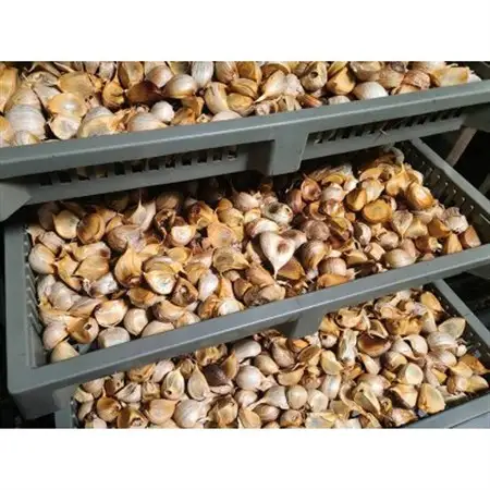 富山県産プレミアム熟成黒にんにく150g×3袋(砺波市)【1669212】