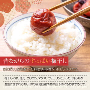 角田市 岸浪園 梅干し 170g×４パック 限定400個