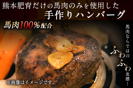 手作りハン馬ーグ 100g×10個 馬肉100%配合！【熊本肥育】ハンバーグ たっぷり 冷凍 お中元 肉 お手軽 お取り寄せ《30日以内に出荷予定(土日祝除く)》｜人気ハンバーグ 大人気返礼品 ブランドハンバーグ 玉東町ハンバーグ 特産ハンバーグ 