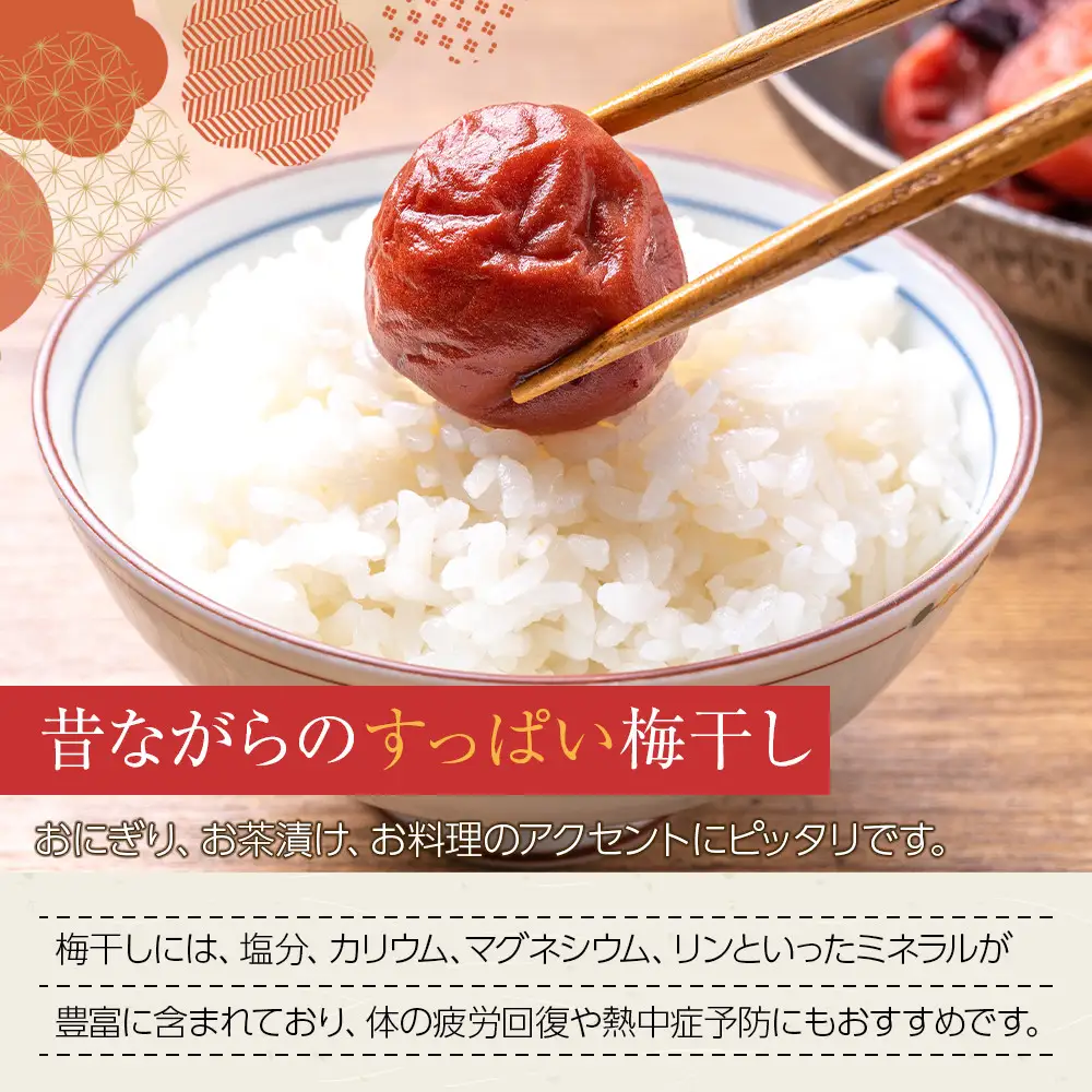 角田市 岸浪園 梅干し 100g×8パック 限定300個