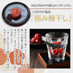 角田市 岸浪園 極み梅干し 塩分約17％ 100ｇ×4パック 限定100個