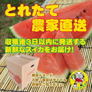 【先行予約】鳥取スイカの食べ比べ！2玉セット（赤肉すいか＆金色羅皇）【西瓜 西瓜 すいか すいか 果物 くだもの フルーツ】