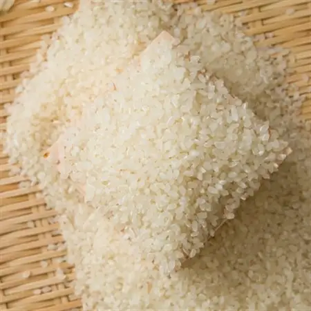 【食味鑑定士厳選】鳥取県産 コシヒカリ10kg(5kg×2袋) 精米【1644303】