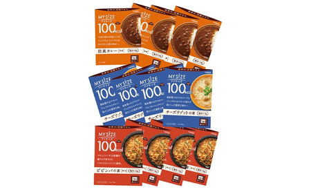 レトルト食品 大塚食品 マイサイズ 100kcal 3種（欧風カレー・チーズリゾットの素・ビビンバの素）×各4個 インスタント 牛肉 スパイス 風味豊 濃厚 コチュジャン 豆板醤 防災 綾瀬市 神奈川県