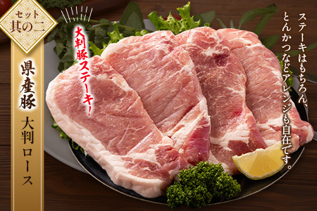 宮崎牛×県産豚 ステーキ食べ比べ セット合計2.4kg【D155】