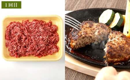 【3ヶ月定期便】 出荷数0.02％の奇跡 土佐あかうし 日常使い プチ 贅沢 Bセット （土佐あかうし 和牛 ミンチ 約300g ×2、 土佐あかうし和牛 スジ 約400g ×2、土佐あかうし和牛 コマ 切り落とし 約200g ×2） 計1.8kg 赤身 お肉 肉 牛肉 牛 あか牛 冷凍 高知県 香美市