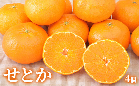 【2027年2月発送】 旬のフルーツ詰合せ いちご＆せとか 紅ほっぺまたはきらび香 約260g1パック せとか4個約800ｇ 柑橘の最高峰 苺 ミカン 蜜柑 【配送不可：離島】 フルーツセット 静岡 浜松市