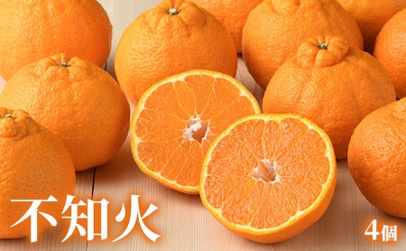【2027年2月発送】 旬のフルーツ詰合せ いちご＆不知火 紅ほっぺまたはきらぴ香 約260g1パック 不知火4個約800g しらぬい デコ 苺 ミカン 【配送不可：離島】 フルーツセット 静岡 浜松市