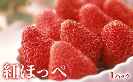 【2027年2月発送】 いちご（紅ほっぺ・きらぴ香）＆柑橘（せとか・不知火）詰合せ 紅ほっぺ・きらぴ香（各1パック） せとか4個 不知火4個 しらぬい デコ 苺 ミカン【配送不可：離島】 静岡 浜松市