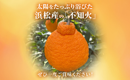 【2027年3月以降発送】 不知火 約5kg 18～24個  しらぬい デコ かんきつ 柑橘 みかん ミカン 蜜柑 フルーツ 静岡 浜松市