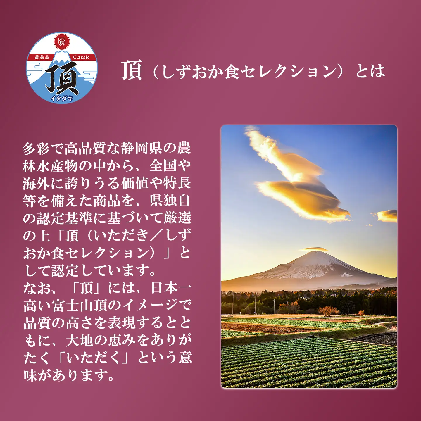 先行予約 干し芋 2袋260g 干し芋
