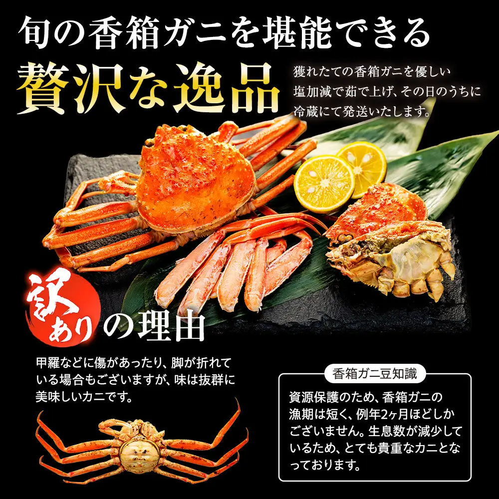 【訳あり】 金沢港より直送！ ボイル 香箱ガニ 8杯セット 釜茹で 冷蔵 先行予約 2026年発送