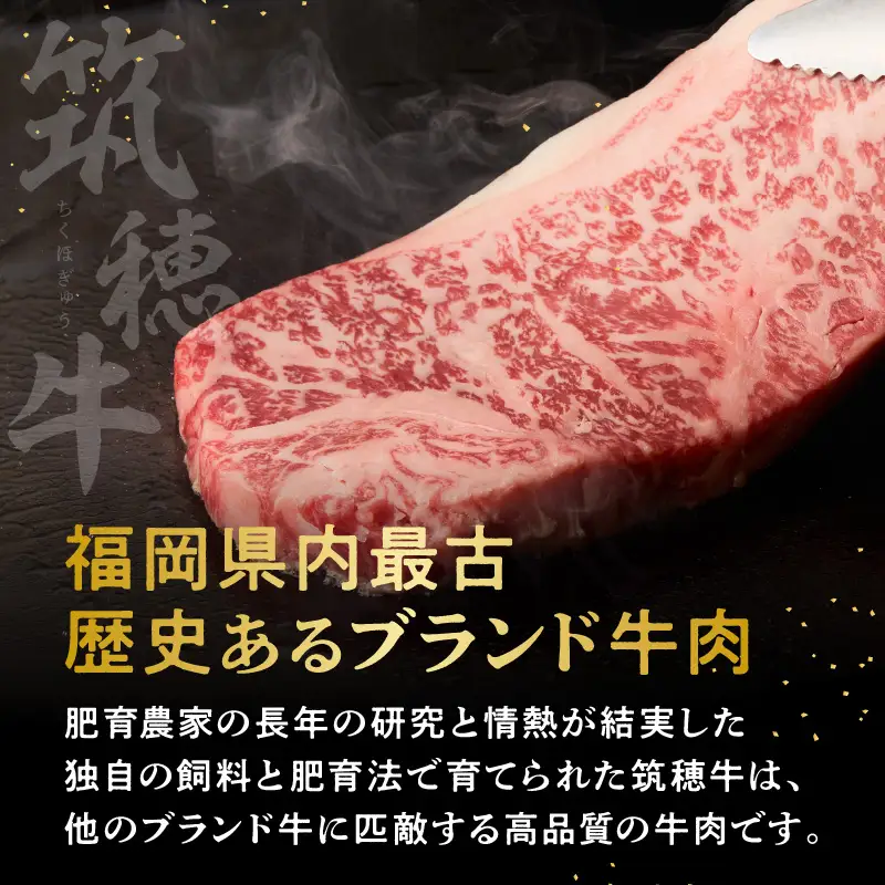 森本牧場産 本格黒毛和牛 筑穂牛 サーロインステーキ 250g×2枚【E-099】