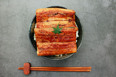 うなぎ 国産 うなぎ蒲焼セット カット8P (80g×8P 小袋たれ山椒付×8P) [静岡うなぎ漁業協同組合 静岡県 吉田町 22424687]