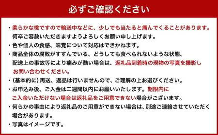 岡山 白桃 2種6玉 （ ロイヤル ） 1.5kg 【 2026年7月上旬から8月下旬頃発送予定 】 ／ 果物 くだもの フルーツ もも 桃 甘い 香り 柔らかい ジューシー 美味しい 岡山県 美咲町