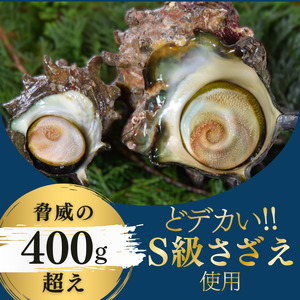 S級 さざえの味噌漬け（1個）　【 さざえ 】