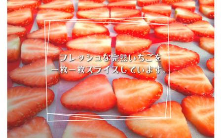 【磯山観光いちご園】《お試し》自家製ドライいちご　25g×1袋 手作り いちご 苺 イチゴ ドライフルーツ 無添加 国産 果物 フルーツ 千葉県 東庄町