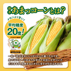 【冷凍発送】旬のとうもろこしの甘味をそのままに！博多あまっコーンの生キャラメル60g（約6粒入り）×3袋 _ 博多あまっコーン 生キャラメル 60g 約6粒入り × 3袋 とうもろこし 酒見農産 岩塩入り キャラメル お菓子 洋菓子 スイーツ おやつ ティータイム 食品 加工品 お取り寄せ お取り寄せグルメ 福岡県 久留米市 送料無料  〔Dw091〕