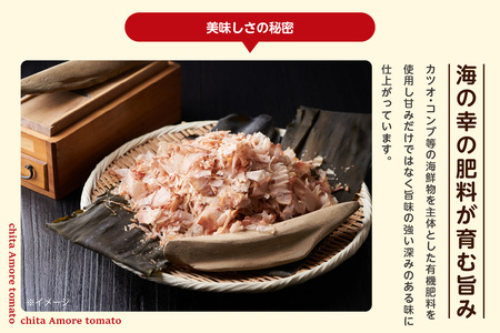 【先行予約】有機栽培ミニトマト　知多アモーレトマト　約500g