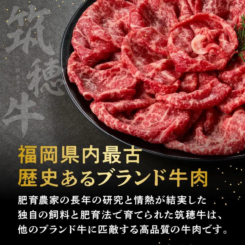 森本牧場産 本格黒毛和牛 筑穂牛 赤身スライス 500g【D8-016】