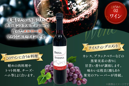 ワイン 赤 ブリサ・アンディーナ メルロー 500ml 12本 セット [カサ・ピノ・ジャパン 山梨県 韮崎市 20745346]