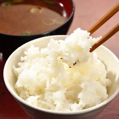  精米 20kg(5kg×4袋) ほたる米【令和7年産】お米 米 ご飯 城里町 桂農産 ＼那珂川の清流ホタル米／(AX011)